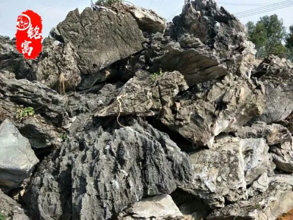 Yingde City Mingfu Garden Co., Ltd. company overview - view 3