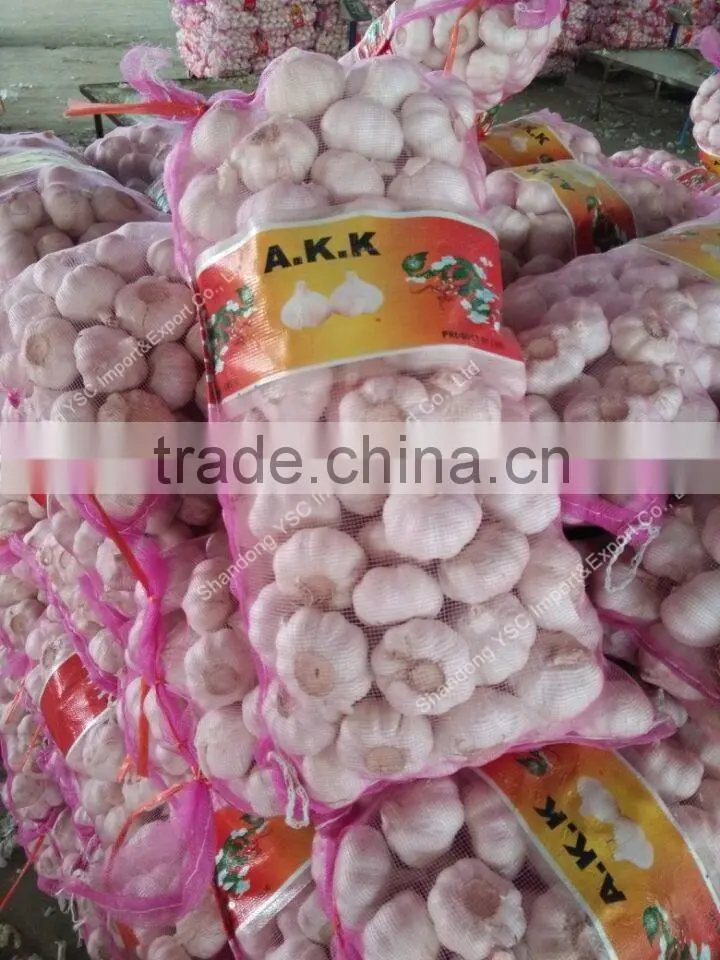 factory price chinese natural red garlic(normal white garlic, purple garlic, white garlic)