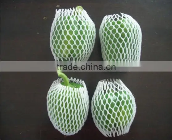 vegetable and fruit exporters, fresh green pepper