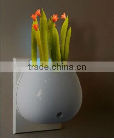 ShenZhen Potted Plants LED Night Light