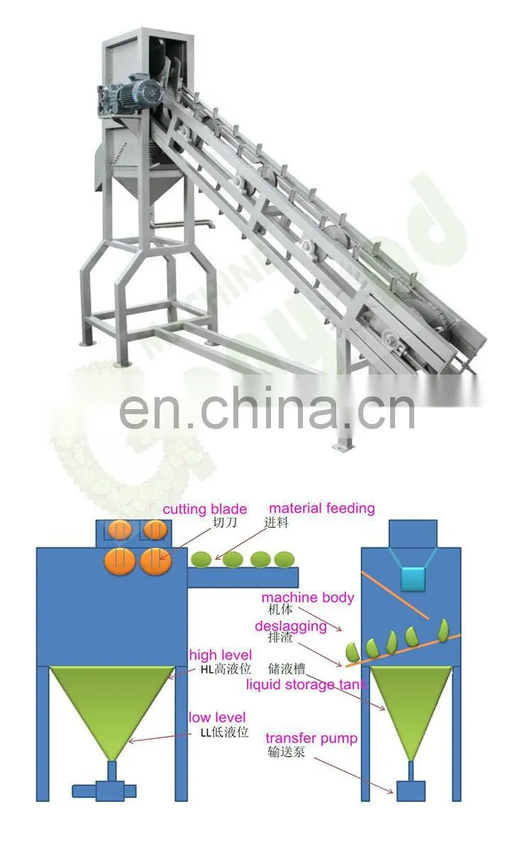 GYC Diamond shaped green young coconut cutting half cut opening opener machine