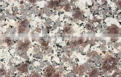Polished G608 Pink Granite