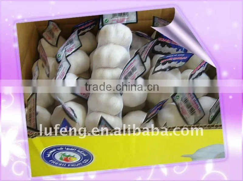 Fresh Pure White Garlic