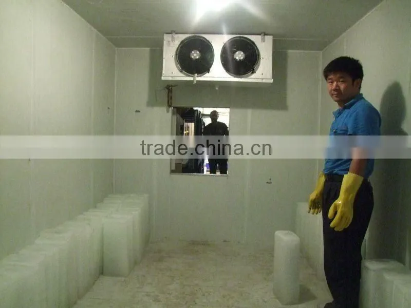 Top quality CE approved containerized block ice machine for sale