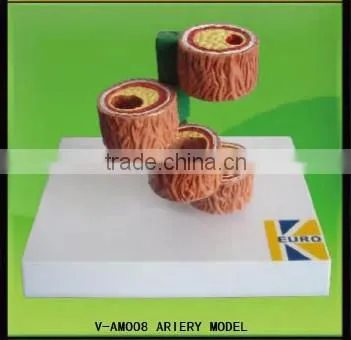 V-AM008 Artery Model