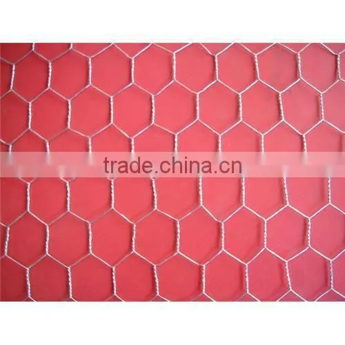 supply chicks netting, hexagonal wire netting (electro galvanized, hot dipped galvanized/ hot-dipped galvanized)