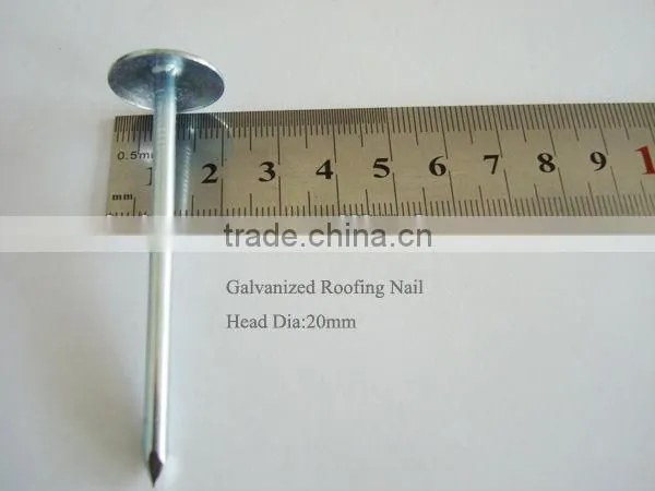 9bwg straight umbrella head galvanized roofing nails