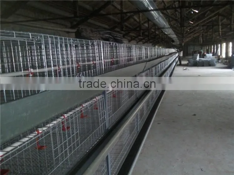 steel structure poultry house and poultry farming