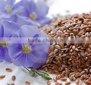 Flax Seed Extract 10:1