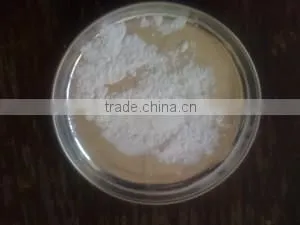 Pregelatinized Starch from Thailand