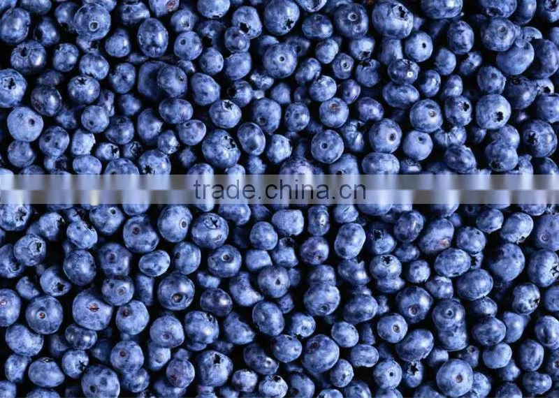 Blueberry extract anthocyanidins