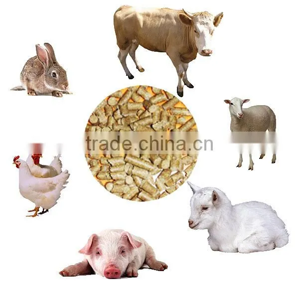 family use fish feed rice bran pellet mill machine
