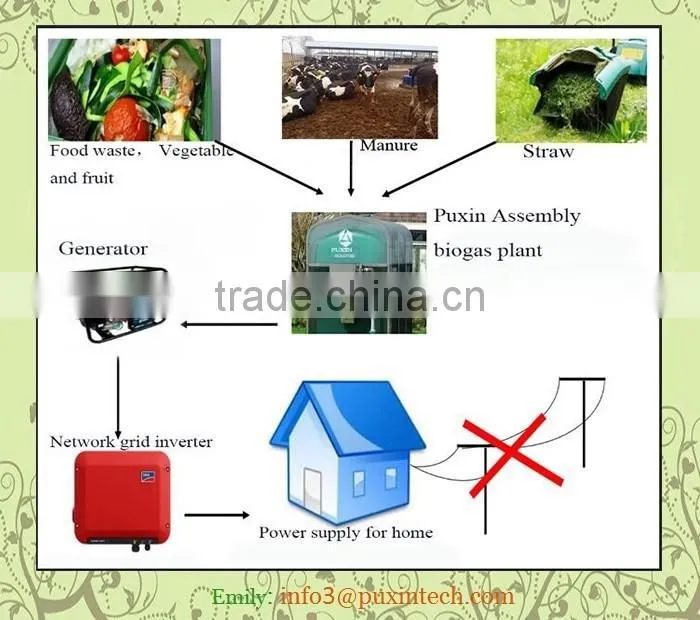 portable PUXIN biogas system biodigester for wastewater treatment
