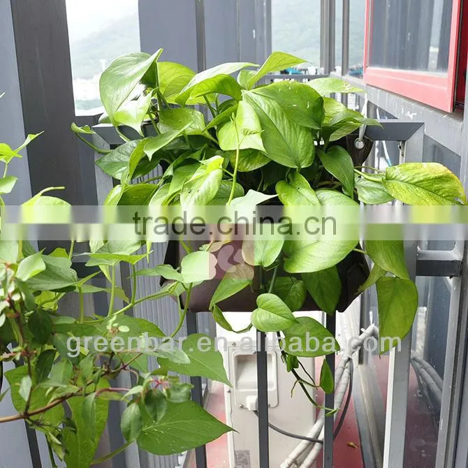 Supply indoor wall hanging planter plants on wall felt fabric planter