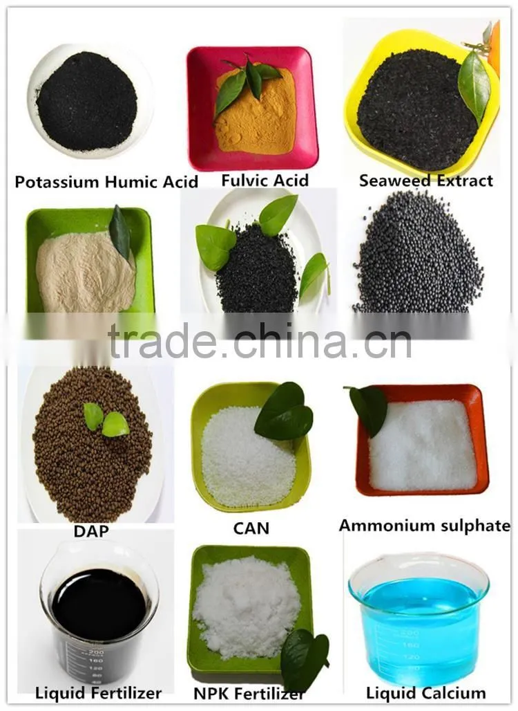Natural agriculture seaweed extract fertilizers for vegetable