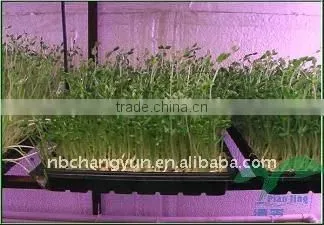 8408 72 cells Plastic PS Seed Tray For Sale