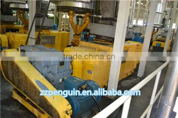 Hot sell palm oil extraction machine special for Africa