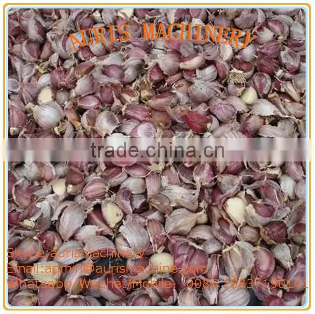 Hot selling Stainless steel small garlic peeling machine on sale