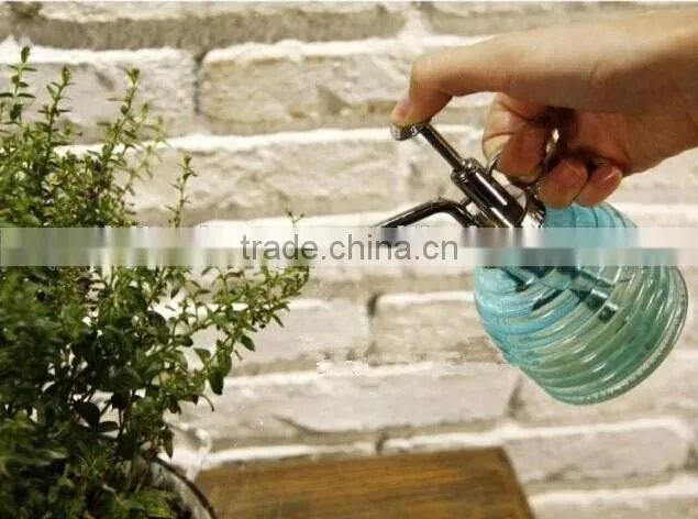 clear round glass oil bottle/watering can/spray bottle/sprinkler