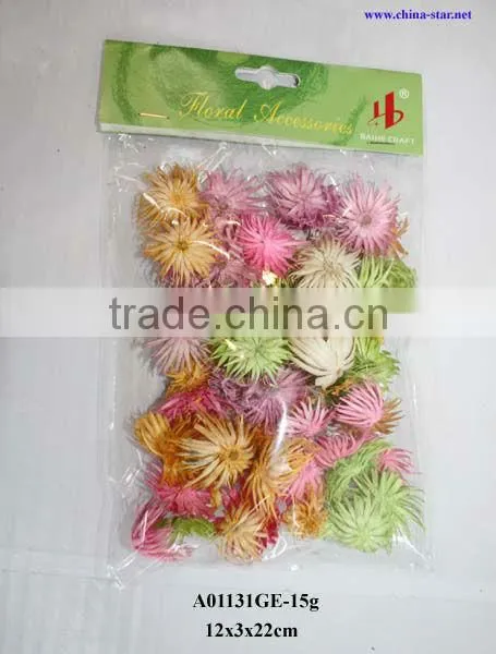 natural preserved flower