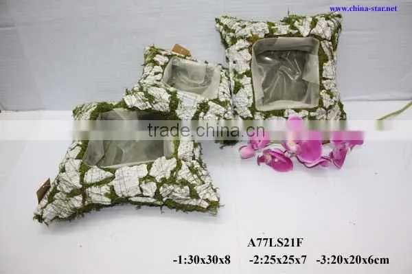 moss cushion with flower pot