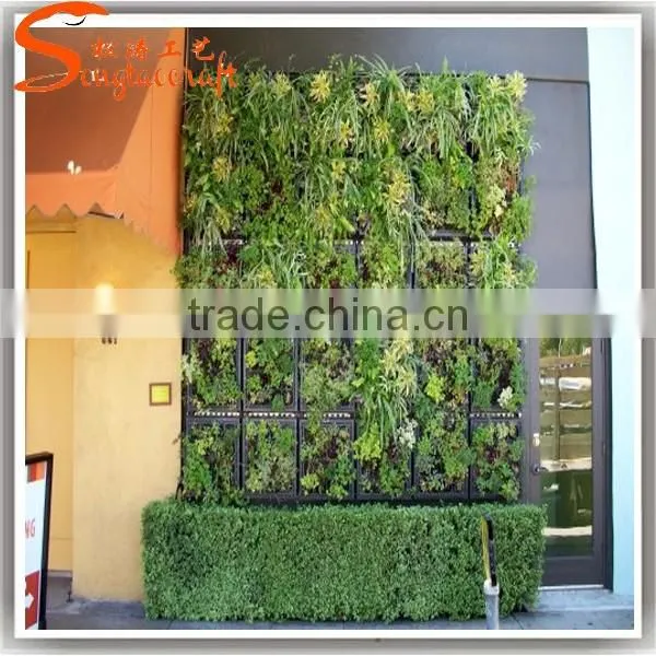 Vertical plant artificial walls plastic green wall garden for sale
