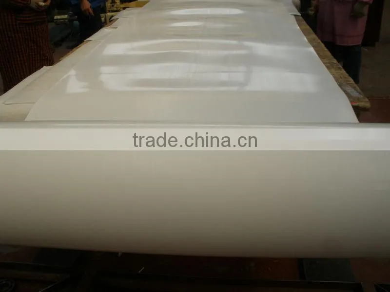 wide ptfe skived film