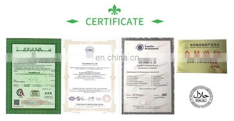 Korea Market of Seabuckthorn Powder Sea buckthorn Fruit Powder