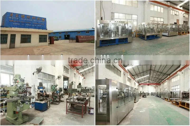 2015 of Hot drink of Fruit Juice making and filling machine/Juice Bottling plant