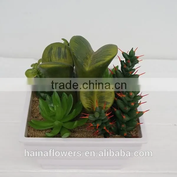 Latest design artificial plants artificial succulent/cactus arrangement wholesale for decorating