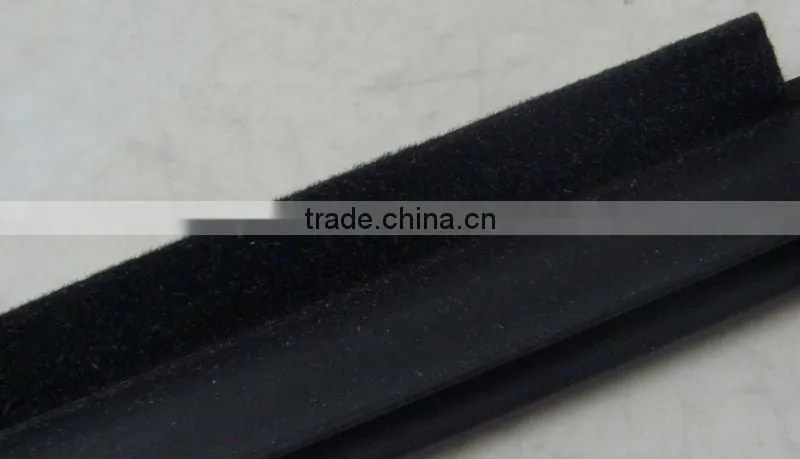 Window Scraper Seal