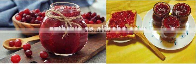 Glass/plastic liquid bottle filling machine,Pneumatic Honey filling machine