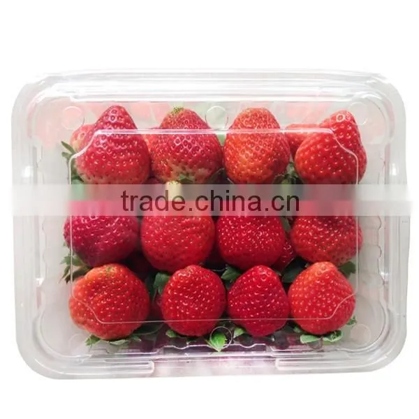 PET plastic transparent boxes for packing strawberry