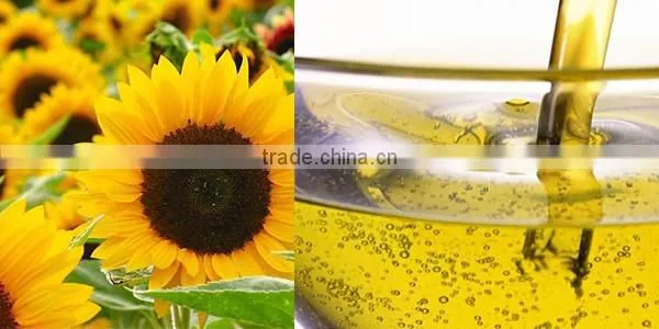 Professional techinical skill sunflower oil filter press