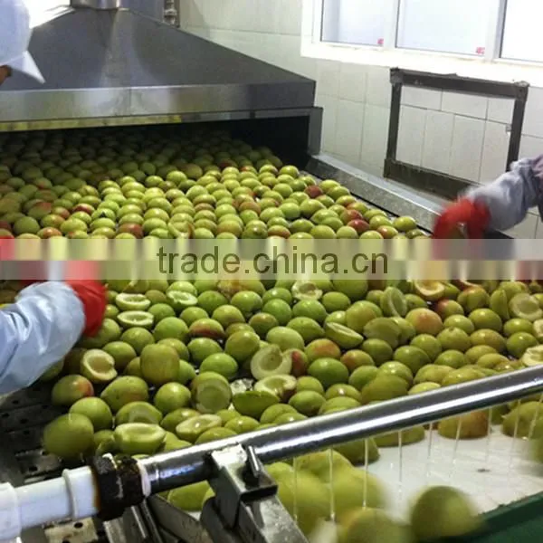 Iqf Frozen white Peach