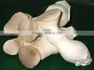 Fresh Crop Canned Abalone Mushroom