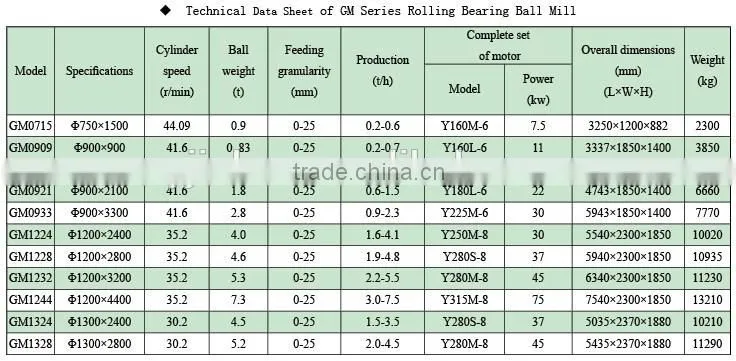 Mineral Processing/Gold Production Equipment Rolling Bearing Mill Accessory