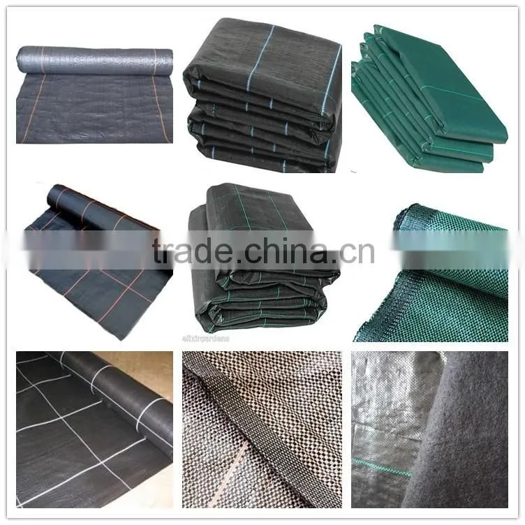 Agricultural pp weed mat shipping from china