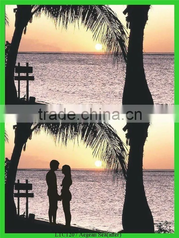 2012 hot selling clearly agean sea test polarized card glasses