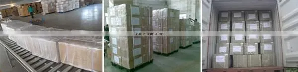 Poplular online shopping Website in Russian Guide Banquet Hall Ceiling Lighting 8w