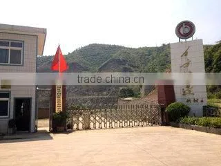 Sichuan Hongyu Baiyun New Materials Co., Ltd. company overview - view 2