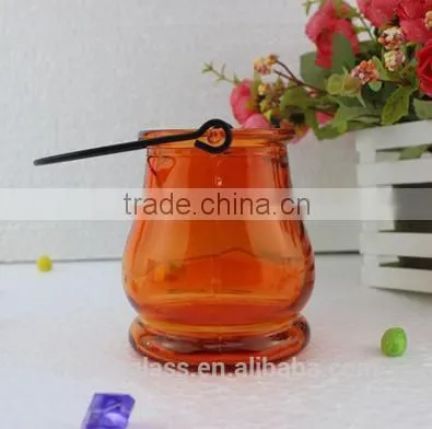 Glass Vase Bottle for plant With Metal Handle Candle Hydroponic/Home Decoration