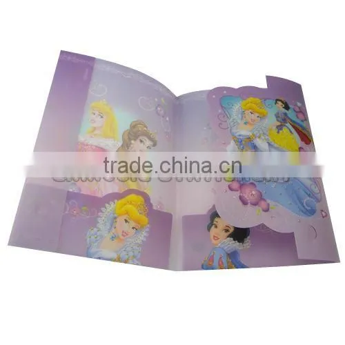 Colorful PPl file folder/E310