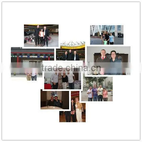 12 paddles 650nm/940nm double wavelength effective diode Lipo Laser for body slimming