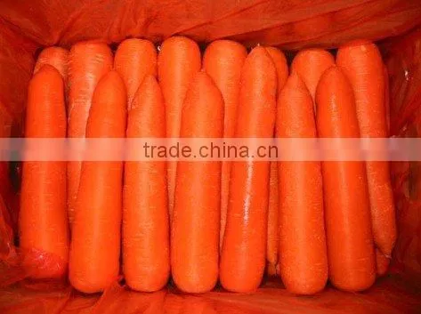lovely carrot