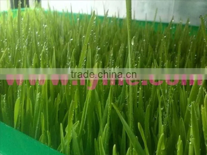 Made in China barley fodder hydroponic machine