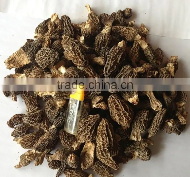 organic morels conica mushroom dried morel