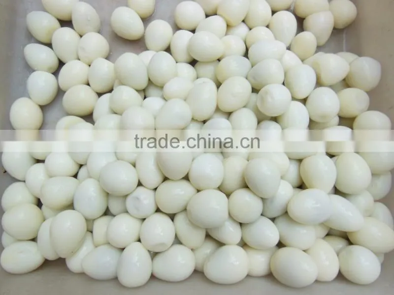 FT-206 Large Capacity Quail Egg Shelling Breaking Peeling Machine
