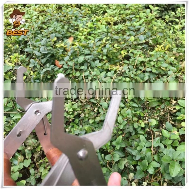 Stainless Steel Bee Hive Frame Grip