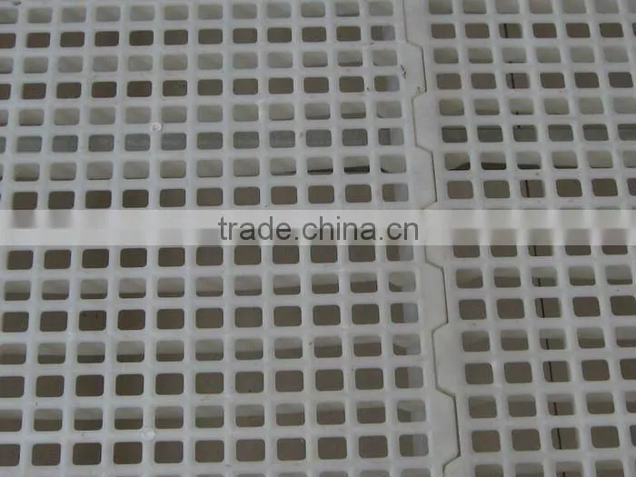 plastic slat/floor for poultry farm